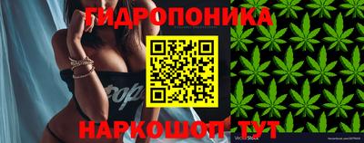 круглые Ливны