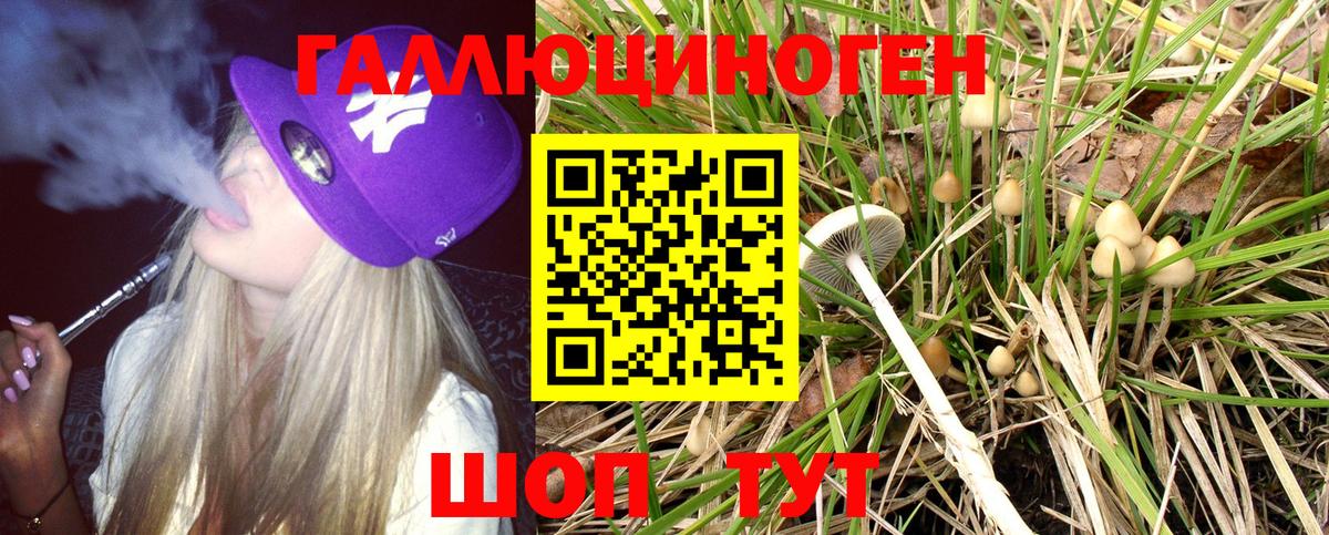 закладки  Галлюциногенные грибы Cubensis  Вход с VPN  Псилоцибиновые грибы GOLDEN TEACHER  Арзамас 